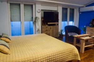 a bedroom with a bed and a desk and a television at Stan na dan Flower in Šabac
