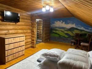 ein Schlafzimmer mit einem Bett und einem Fernseher an der Wand in der Unterkunft Beregynia in Schdenijewo