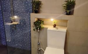 a bathroom with potted plants on top of a toilet at Green cottage Ella in Ella +72 photos