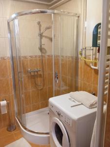 Koupelna v ubytování Jósva Vendégház Sárospatak