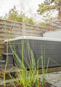 En have udenfor Duna - Japandi B&B met topontbijt & wellness