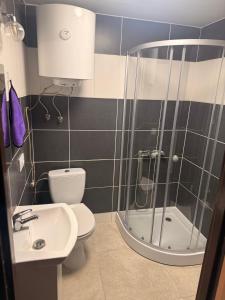 a bathroom with a shower and a toilet and a sink at Silesia młyn in Katowice