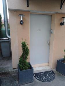 ein weißes Garagentor mit zwei Topfpflanzen daneben in der Unterkunft Agréable studio au rez de chaussée in Arbois