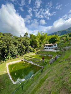 a house in the middle of a field with a pond at Ecohotel Los Cedros in Cocorná