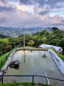 a pond of water with a rock in it at Ecohotel Los Cedros in Cocorná +11 photos