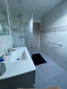 une salle de bain blanche avec lavabo et douche dans l'établissement Chambres d'hôtes bord de Saône, à Lamarche-sur-Saône