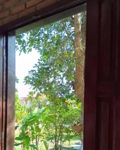 En have udenfor Pousada Refúgio + 2 billeder