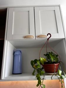 Afbeelding uit fotogalerij van Apartamento Pontal in Ilhéus