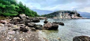 Phong cảnh thiên nhiên gần căn hộ +8 ảnh