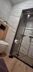 a glass shower in a bathroom with a toilet at Przy Potocku in Czarna Góra +24 photos