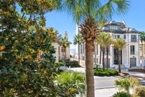 a palm tree in front of a building at Seagrove Sun in Santa Rosa Beach