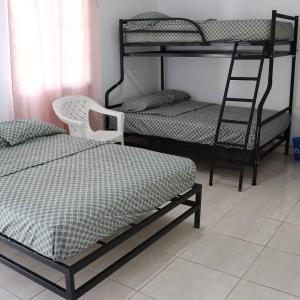a bedroom with two bunk beds and a ladder at Hostal Tortuga Surf in Tonosí
