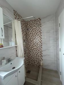a bathroom with a shower and a white sink at Verina kuća in Kosjerić