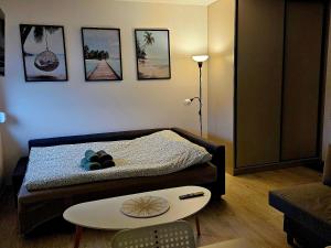 een woonkamer met een bed en een tafel bij Apartament Studio Centrum in Człuchów