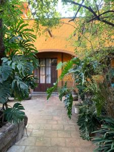 a house with a courtyard in front of it with trees at Casa Díaz in San Miguel de Allende