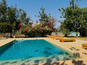a swimming pool with benches and flowers in a park at Kabacoto Lodges in Darou Rhamane +34 photos