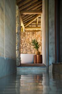 a plant in a pot in a room with a stone wall at Primitivo Hotel & Villas in Passo de Camarajibe