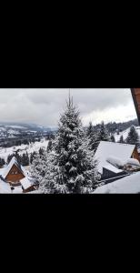 a christmas tree covered in snow next to a house at Lake Retreat Colibita in Colibiţa