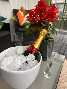 a bottle of champagne in a bowl of ice and a flower at Kauri Cabin in Gisborne
