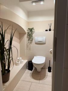 a bathroom with a toilet and a potted plant at Ferienwohnung Querfurt in Querfurt