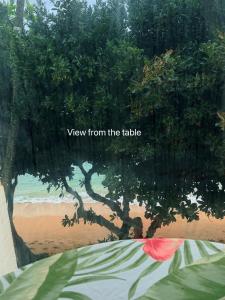 ein Baum am Strand mit den Worten „Blick vom Tisch“ in der Unterkunft Breezy Beachfront Bali-Style Haven 180 Degree OceanView in Hauula