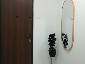 a mirror and a potted plant next to a door at Apartman Maras in Posušje +1 photo