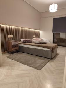 a bedroom with a large bed and a television at Urban Mountain House in Karpenision