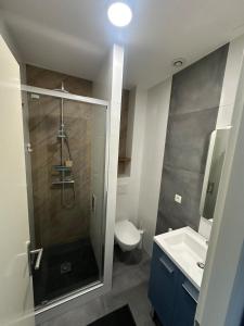 un bagno con doccia, WC e lavandino di Grand T2 cosy à deux pas de Bordeaux a Cenon