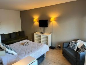 TV a/nebo společenská místnost v ubytování Le 26 Deauville