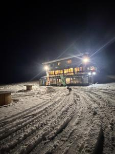 a building with a dog in the snow at night at Chalet Vasilitsa in Grevena