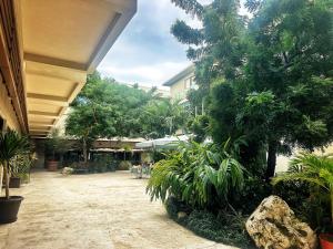 een binnenplaats van een gebouw met bomen en planten bij Cayman Convenient Stay at Harbour Walk in Red Bay Estate