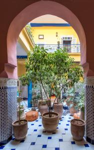 Photo de la galerie de l'établissement Riad Hotel Sherazade, à Marrakech
