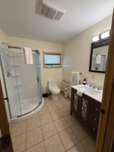 een badkamer met een douche, een toilet en een wastafel bij Modern Lakeview Escape in Hammond +18 foto's