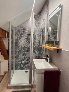 a bathroom with a shower and a sink at Alpenheimat 1658 in Mittelberg