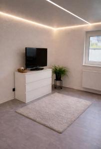 Et tv og/eller underholdning på Modernes ruhiges Appartement mitten in Bad Rappenau mit Frühstück