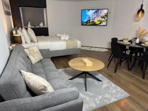 TV a/nebo společenská místnost v ubytování Ruheoase Widen Garten & Pool Zug 30m