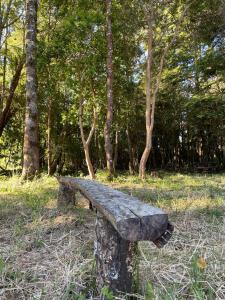 eine Steinbank mitten im Wald in der Unterkunft Cabaña equipada a 5 minutos de Panguipulli in Huellahue