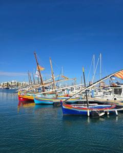 a group of boats are docked in the water at Studio vue mer & accès direct à la plage in Le Barcarès
