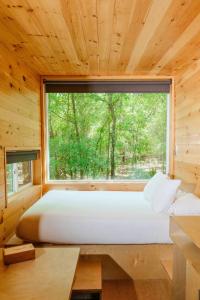 高泉Postcard Cabins Gilchrist Springs, Outdoor Collection by Marriott Bonvoy的木制客房的一张床铺,设有大窗户