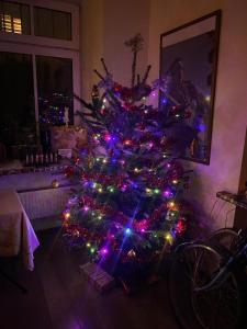 een kerstboom met verlichting in de woonkamer bij Rock'n'hostel in Vilnius