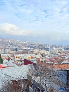 a view of a city with buildings and trees at Cosy City-View Flat in Mtatsminda, flat 7 in Itʼkhvisi