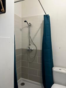 una doccia con una tenda da doccia blu in un bagno di Studio confortable pour 2 personnes a Saint-Omer