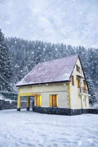 een huis bedekt met sneeuw met bomen op de achtergrond bij Hidden Forest Cottage in Borjomi