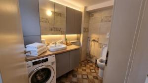 a bathroom with a washing machine and a sink at Casa de sub Brazi Relaxare la munte cu Ciubar in Fîntînele +91 photos