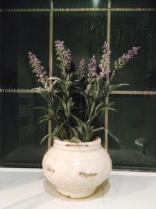 Fotografie z fotogalerie ubytování Stylish boutique annexe nestled in Bloxham village v destinaci Bloxham