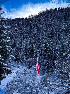 Hotel forest echo semasa musim sejuk +52 gambar