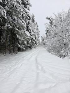 Górski Apartament pod Stokiem om vinteren