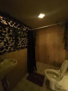 een badkamer met toilet en wastafel bij Entire Space in Downtown Oaxaca Comfortable in Oaxaca City