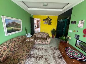 蒂安瓜Casa da Maia Hostel的配有大沙发和绿色墙壁的客厅