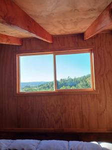 Billede fra billedgalleriet på Tiny house Chucao i La Unión